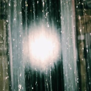 Meet your Posher, Mackenzie